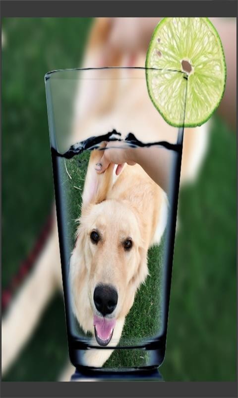 趣拍玩图照相机(5)