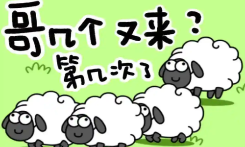 羊了个羊游戏有什么规律-游戏规则及通关规律技巧
