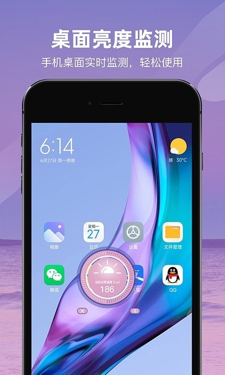 光照强度测量仪(2)